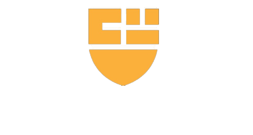 Iraq Incurance Company